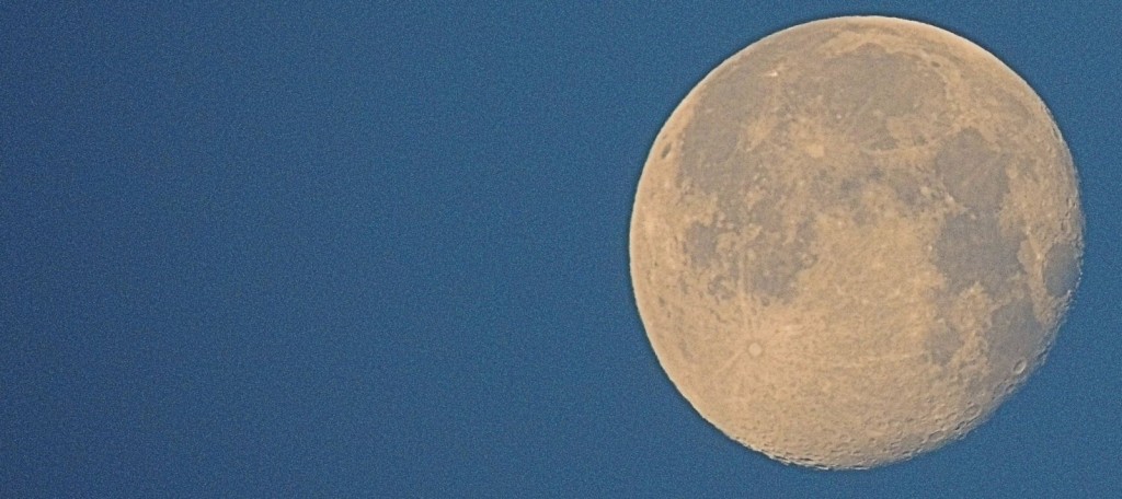 Night Reads Moon Night Reads Moon